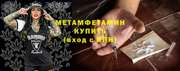 ГАЛЛЮЦИНОГЕННЫЕ ГРИБЫ Богданович